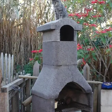 Rural Marian Santa Maria de Guia de Gran Canaria